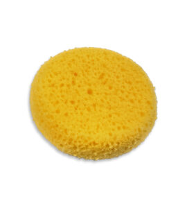 Sponges